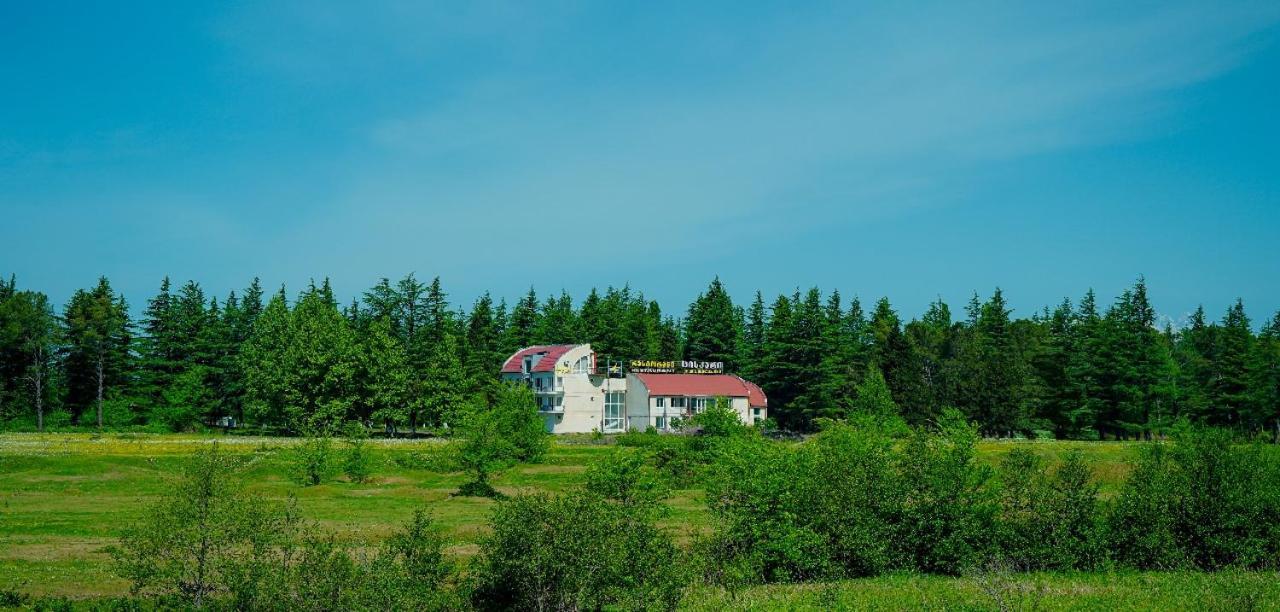 Hotel Tsiskari Ianet'i Bagian luar foto