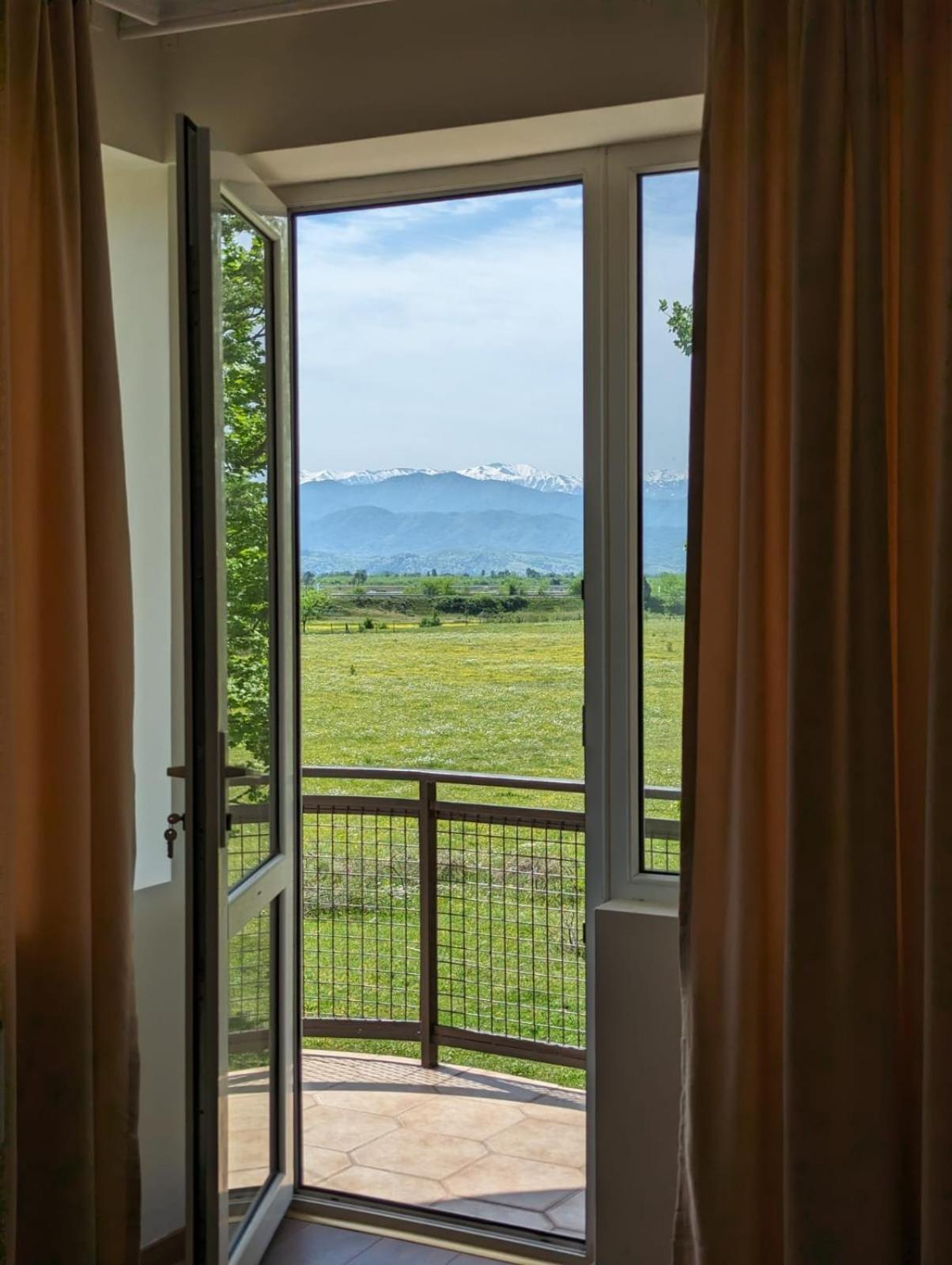 Hotel Tsiskari Ianet'i Bagian luar foto